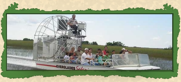 Eco Tours, Boat tours | Everglades Boat tours, Private tours